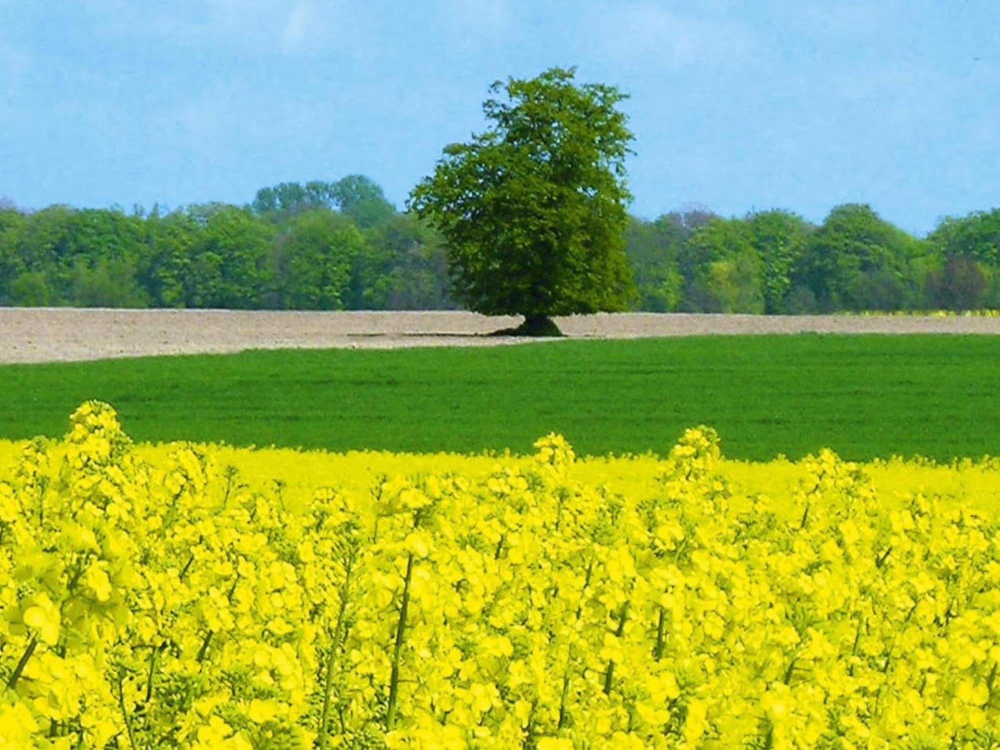 Ferienwohnung In Schwerin Schwerin  Exteriör bild